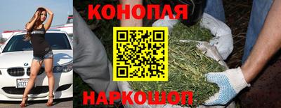 spice Славгород