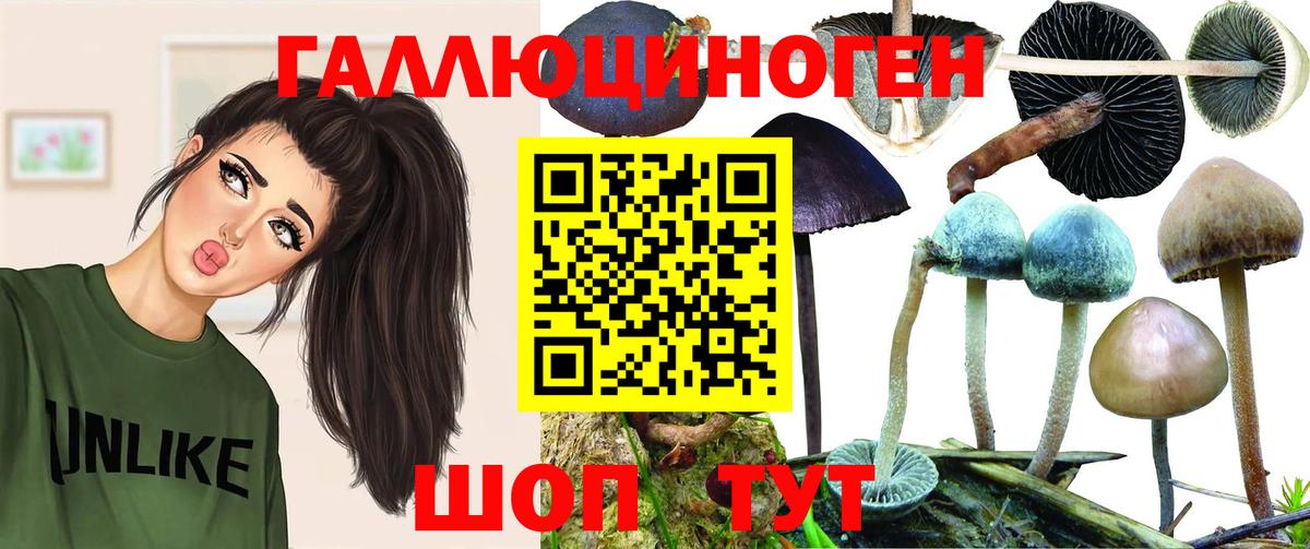 Галлюциногенные грибы прущие грибы  Вход с VPN  Новокубанск 